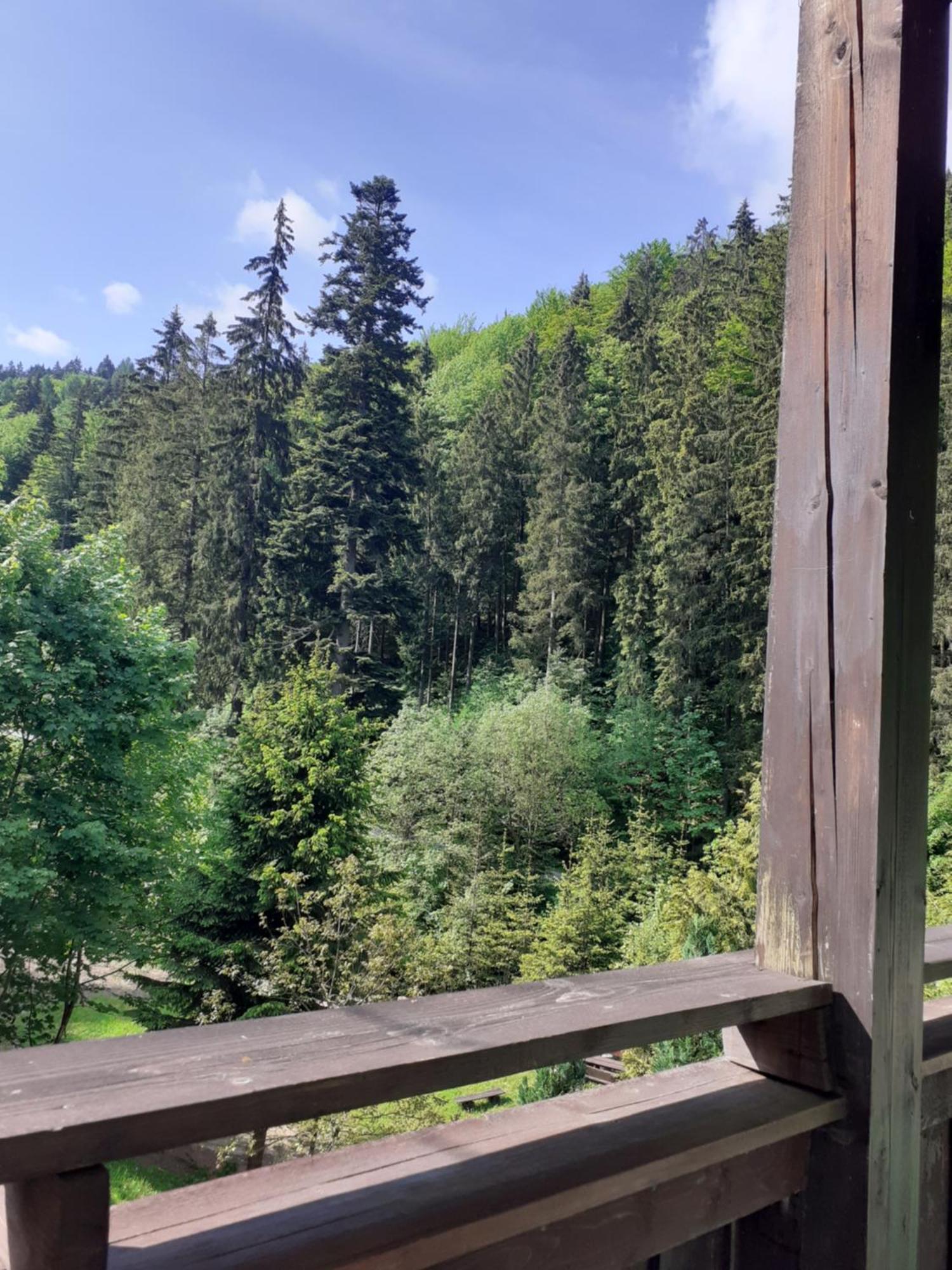 Apartamenty Kaskada Wölfelsgrund Zimmer foto